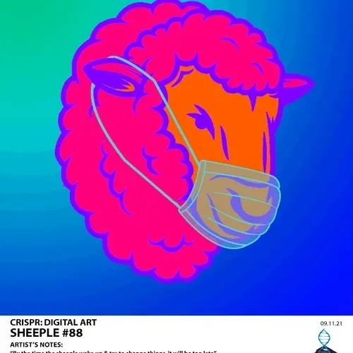 Item #87415360235446664004770043537842400761718434103181100029078096328635076050945 Media