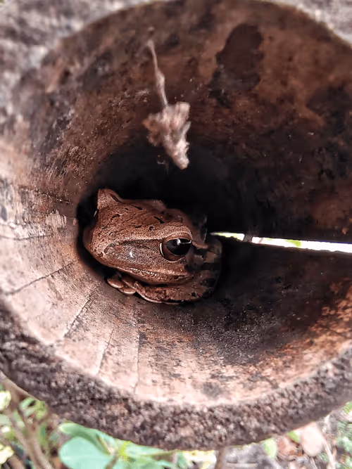 Item #108432430116039437497769170398403606579322061371426367389515976286517887762433 Media