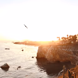 Chasing Sunsets