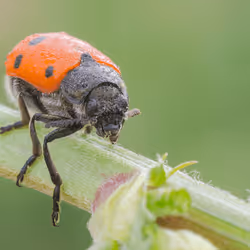 85482677209635580740523827451099252136629396536545148940270710372124665577473