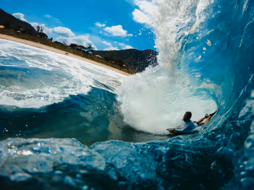 Item #40917239143773291244344295654918907675063873996779510220704981487028770177025 Media