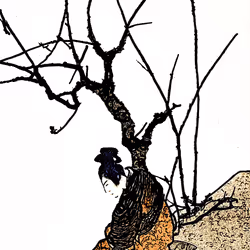 59134823550596979964953959266875194704433400244529019100266579051844879777793