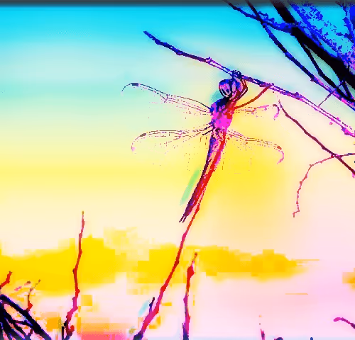 Item #90190205022037577658611228217343825730566789419905869044194752776566302834689 Media