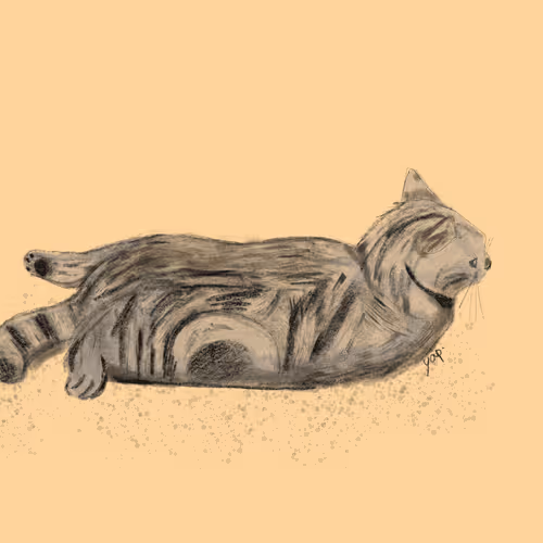 Item #12338872965748960330777031479598626524487181570575812676954416080927120687105 Media