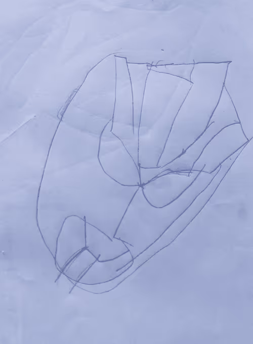 Item #74471070252994277132190585065396483649449771372471548849473797048116210302977 Media