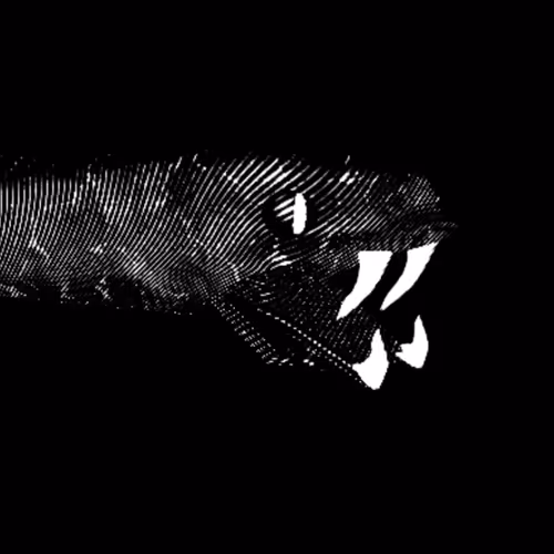 Item #111660550984346523309087927621972754523962383985678240764330161585234705907713 Media