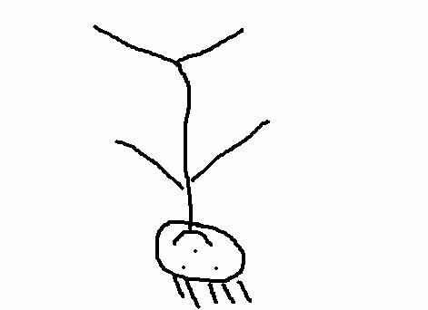 Item #115676866583723063711755502478383601855859594125702608525348915441110932783105 Media