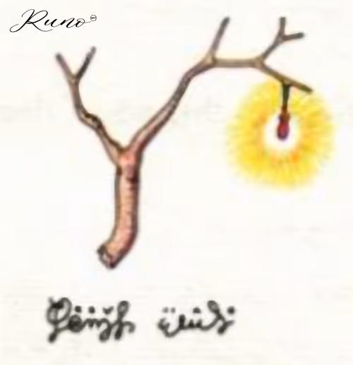 Item #82027568132874209204905566475371830288322008056794566303556806051589611585541 Media