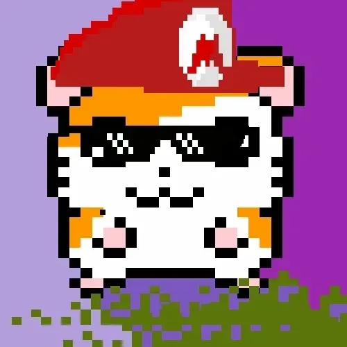 THE COOL HAMSTER