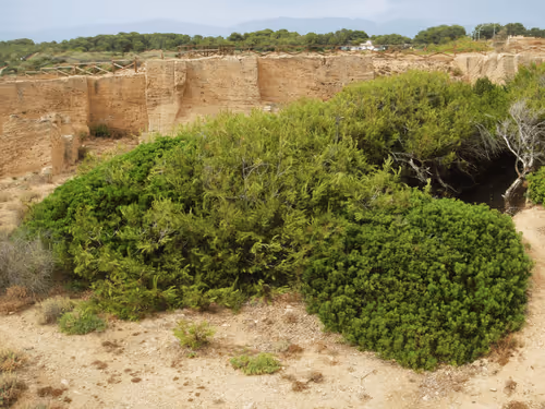 Item #47740723628740992811774374688397150768592318939959493340400451358396105359361 Media