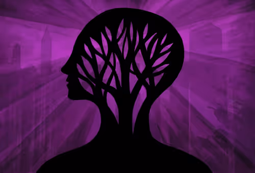 Item #1758017108070067974278433321247319066275387237759396501693338305550367064065 Media