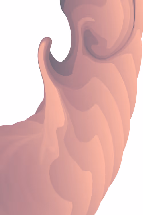 Item #13124656807443785794811515822561874596425376727878367030344099076295851245569 Media