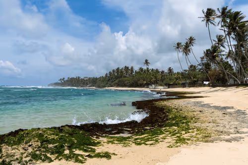 Item #48474301322995807969240274513334363728541577812615842985785900183931787935745 Media