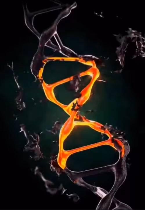 Item #90041731121625487391681815640804423209929442543617657032058539904435159564289 Media