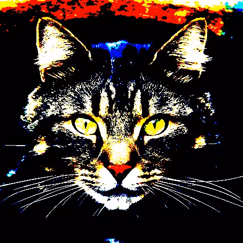 23538819986925566434507765811444276093104658907602947149672917168985091342337