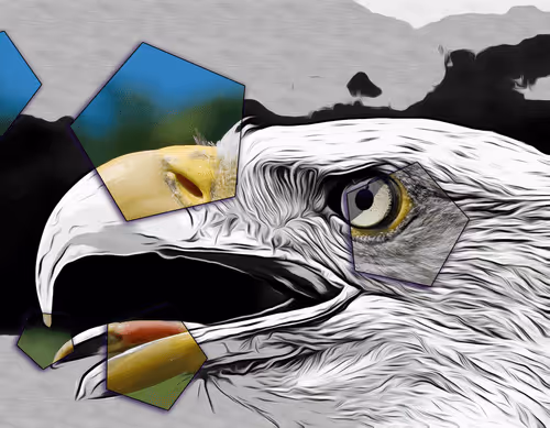 Item #60839276870702459536115980663435026977207856631347422568339333209789546102785 Media