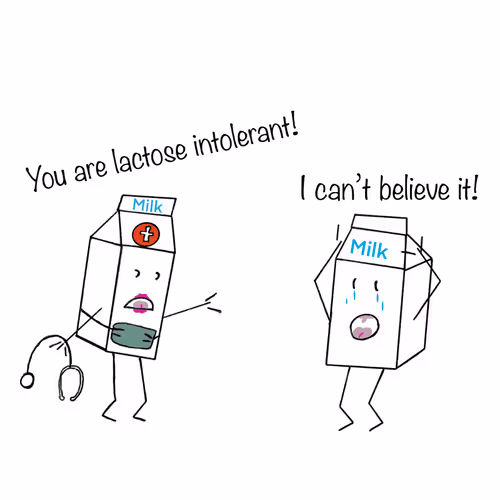 Item #47812013613805534146718636293911048008999904075326137787292493346118542819329 Media