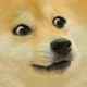 81770890518884202646749212643002208961461581075329461738347002145406984388609