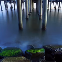 Nature of Bali #2