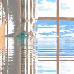 Room with a View