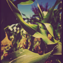 3787080761074609709675817509753112159059746763483256848434353870057710288897