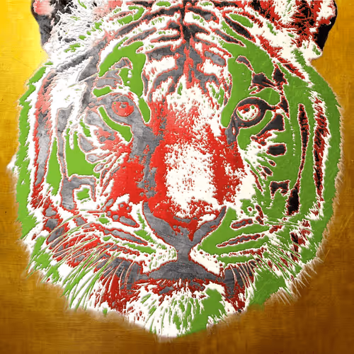 Item #86237857260230094109351666257840853512560942503418433082652455683387820081252 Media