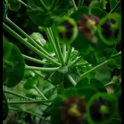 3787080761074609709675817509753112159059746763483256848434353753509477744641