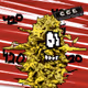 26027700881668931345982904269937817145691771012269428596248392705118851563521