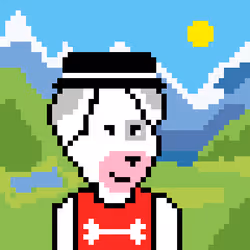 47654056999114043036718504968769856379755101361110030796076620846315622891521