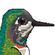 37818792076004032002526509345048706370497292480243483587417114920748677332993
