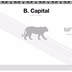 Reserva de Capital #01