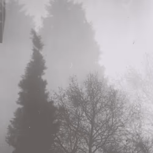 Item #26240500746670689107494502172529202966173513927234395913133241694164267040769 Media