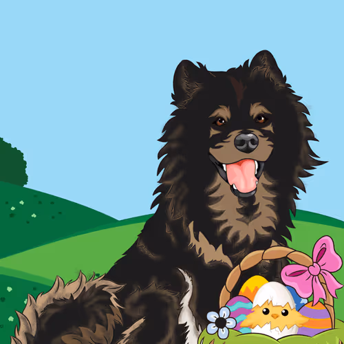 Item #63638559146460268833789420711681680060751269887835435153880457577876462501889 Media