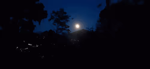 Item #67861325628159038088837015362560140858194589244017244618959753767330171060225 Media