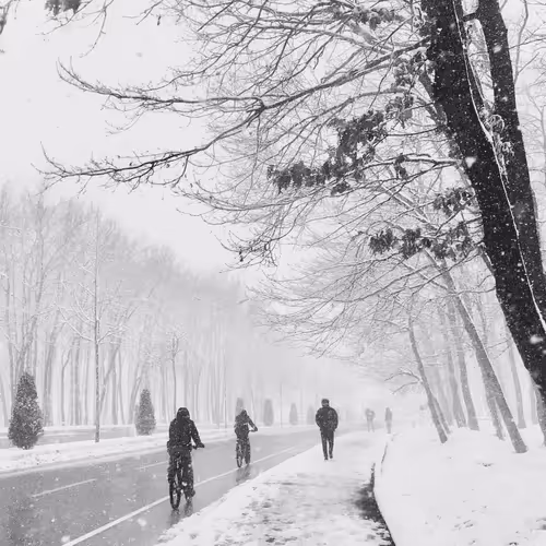 Item #54053091687754538640271046822082760989743948860785190547878261617819549433857 Media