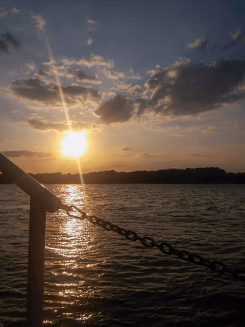 Item #55807924163620882743305652927464896138649887097193374139054959742390171074563 Media