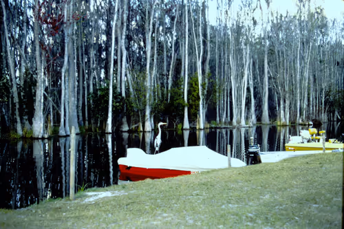 Item #113047771030127017240919341709485116586684509374101894410877815055779415195649 Media