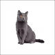 7917608709568526609042417006664391966594597627541652161018316718534058573825