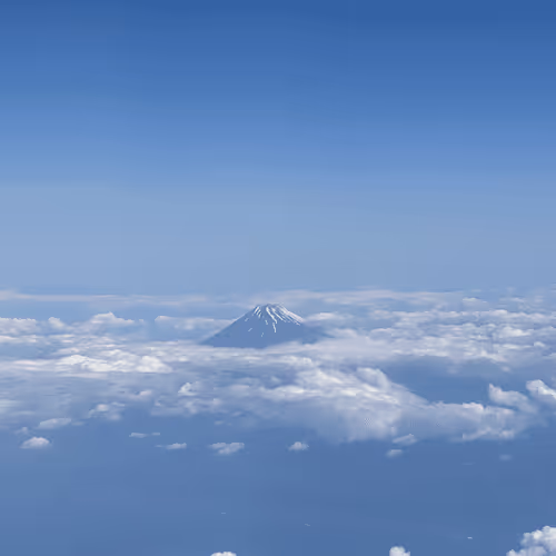 Item #20926561426204038772068387457782872375501582869005270726634410707615670599681 Media