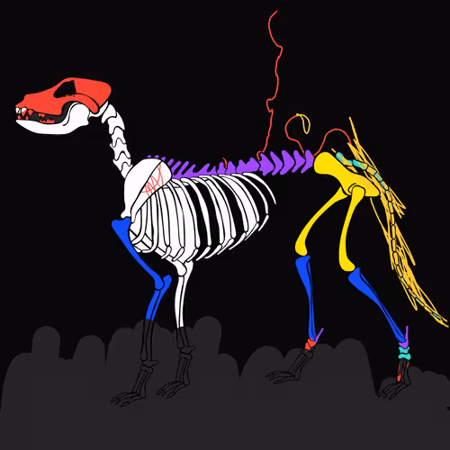 Item #66115251428437251400949335005857765940906863007353817121707627009949057417217 Media