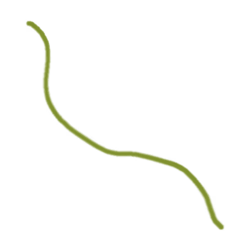 Item #20205123590063296895540447505244684998386059841524943892873659445212493119489 Media