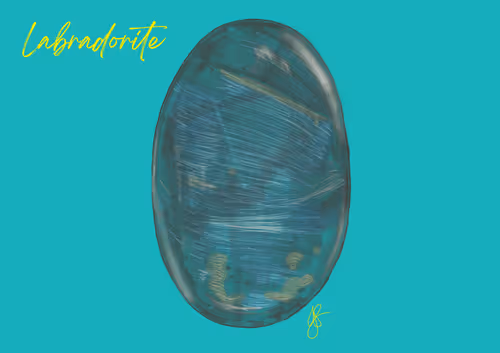 Item #85141354714833614509806319782789039138473253974235521479469238656058248921089 Media