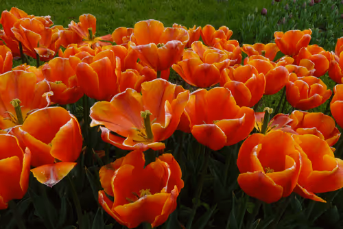 Untitled Collection #287285045