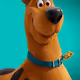 16568253546900450433845691563602167126424967314336249009359726589654100606986