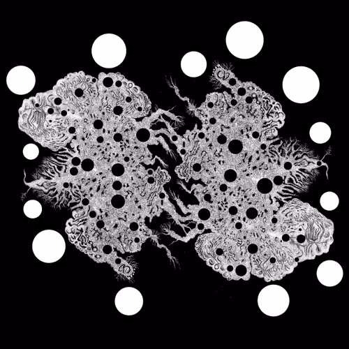 Item #48216677678887992956199146050101977369740452437452834237877791757657748537345 Media