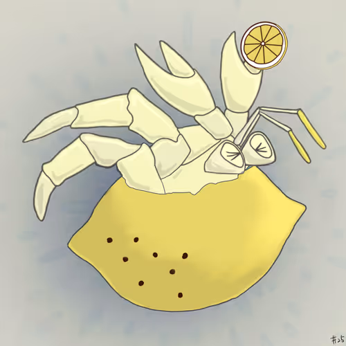 Item #66591439749569723830051577561328492703577503912314146430387752222194126553089 Media