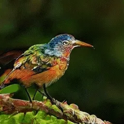 Item #54658049979898971032355539673876588794277822125732617114510633367409952555058 Media