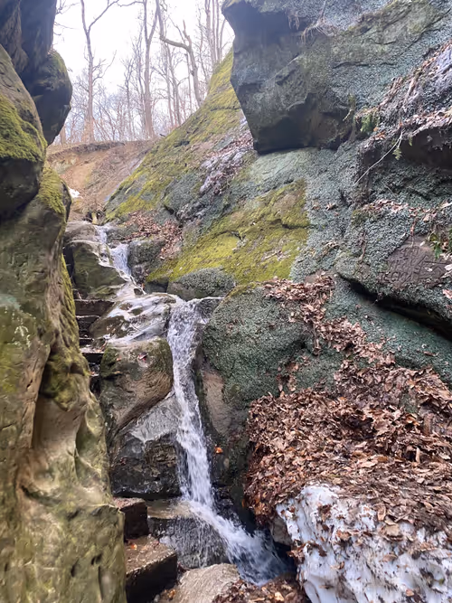 Item #112339910633504213728399095396539794001498957643170945361235603257002907664385 Media