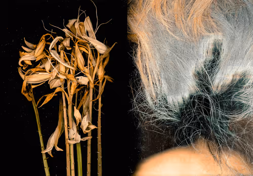 Item #109162157552346088047496633038404394118504199992061596446112929357740059394049 Media