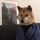 7286058358886681021708923845470642555126831130393466328969831256751251390465